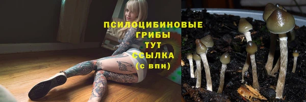марихуана Горно-Алтайск