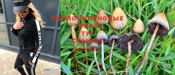мдпв Горняк