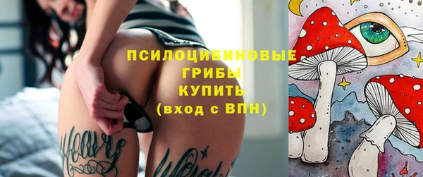 мдпв Горняк