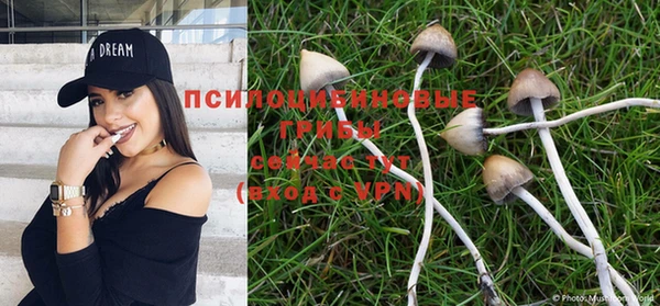 мдпв Горняк